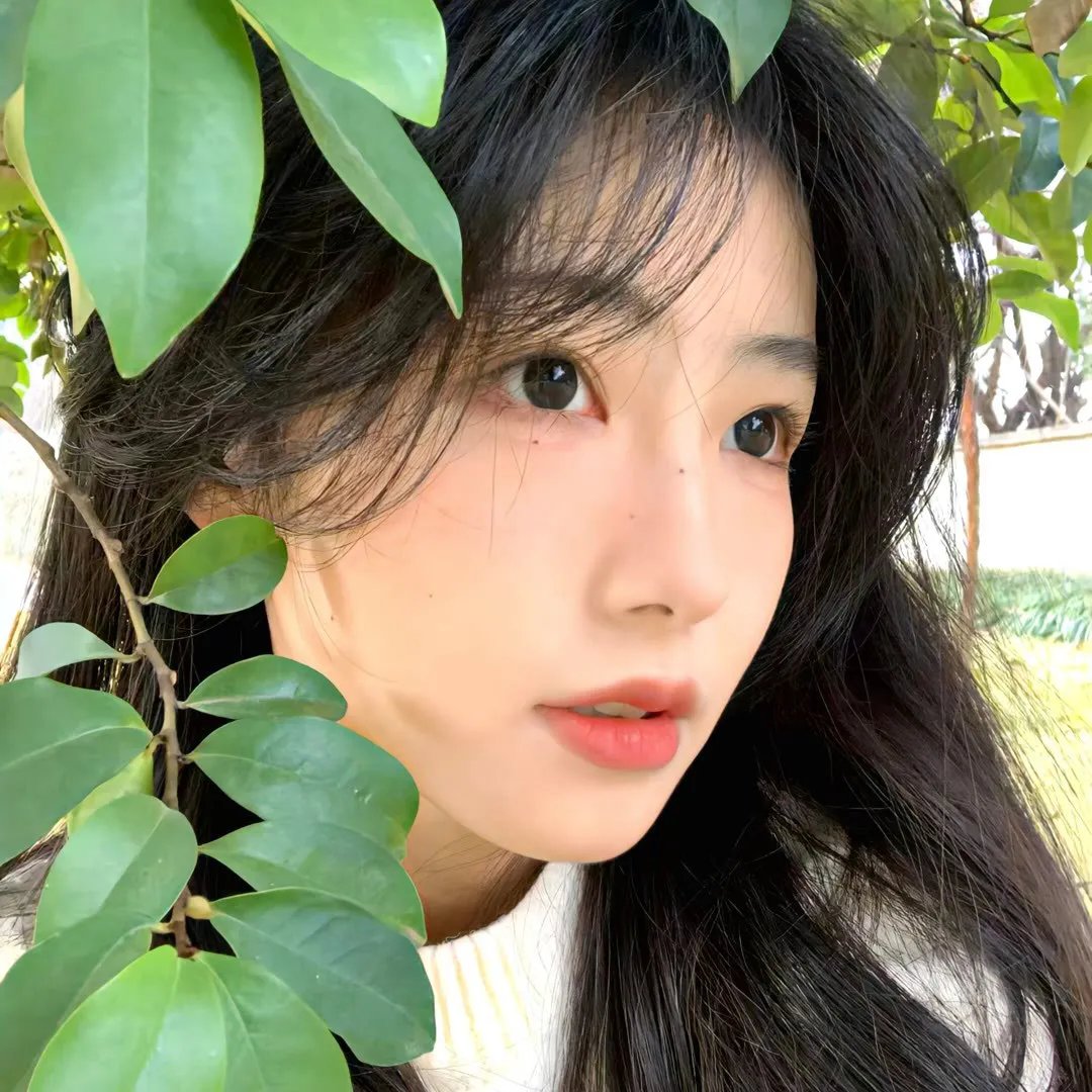 悍妻理论